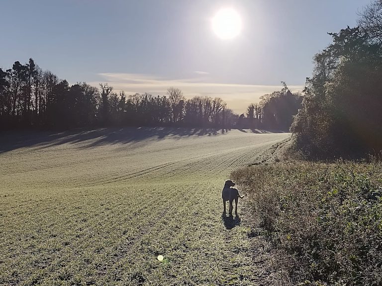 320726625 542587317522073 5206995252567227832 n 768x576