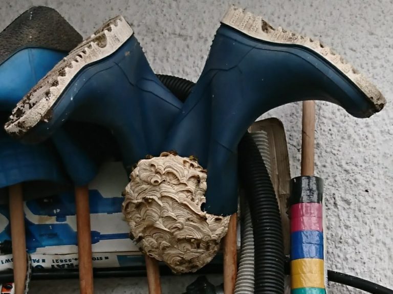 storageemulated0Downloadreceived files 20170703 163557 768x575