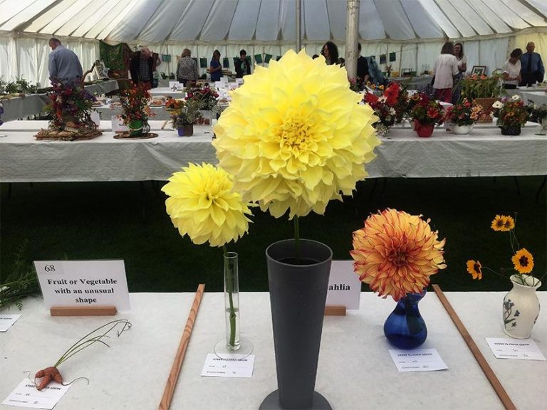 Steep Flower Show 768x576